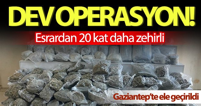 Gaziantep’te 59 kilo skunk maddesi ele geçirildi