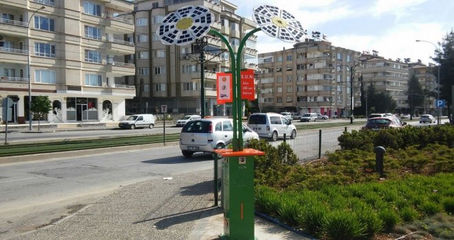 Gaziantep'te Güneş çiçeklerinden enerji üretimi