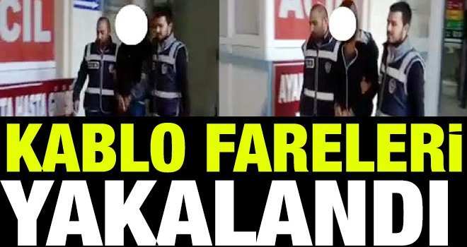 Gaziantep'te kablo hırsızlığına 2 tutuklama!..