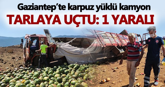Gaziantep’te karpuz yüklü kamyon tarlaya uçtu
