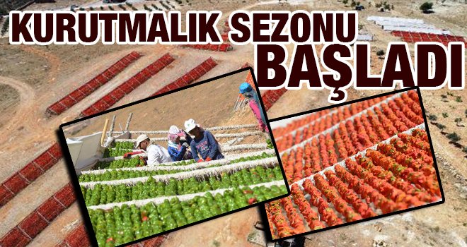 Gaziantep'te 'kurutmalık' sezonu başladı