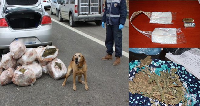 Gaziantep’te Uyuşturucu Operasyonunda 76 Gözaltı