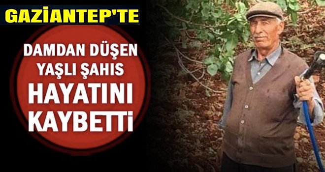 Gece serinlemek için dama çıktı canından oldu