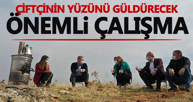 Gelir getirici ağaçlarla üreticinin refahı artacak