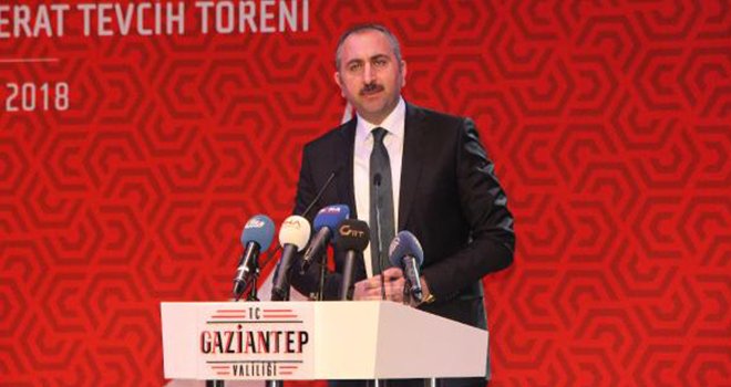 Gül: 'Zeytin Dalı Harekatı' Türkiye'nin huzuru için