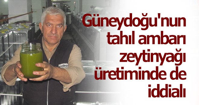 Güneydoğu'nun tahıl ambarı zeytinyağı üretiminde de iddialı