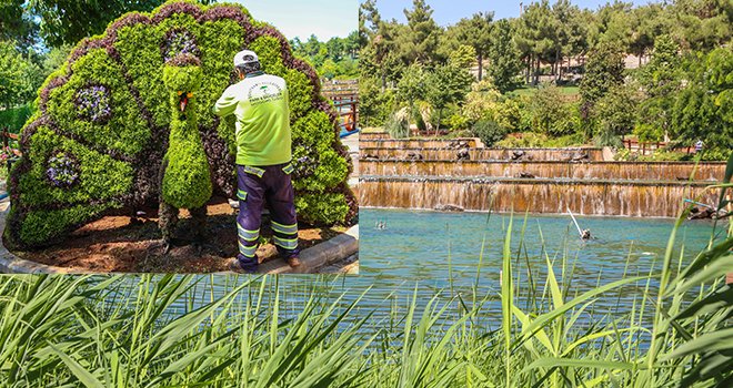 HAYVAN SİMGELERİYLE SÜSLENİYOR