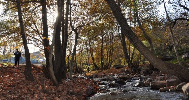 İdilli Vadisi'nde, sonbahar güzelliği