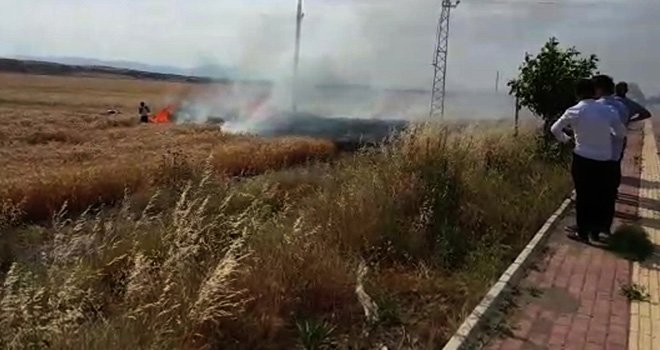 İslahiye'de 2 dönüm buğday ekili tarla yandı