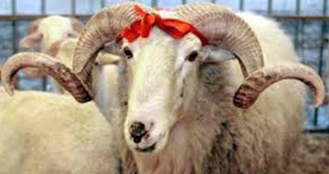 İşte Beklenen Kurban Fiyatları
