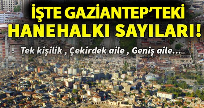 İşte Gaziantep'teki istatistiklerle aile