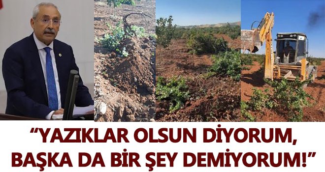 Kaplan, üzüm üreticilerinin isyanını dile getirdi