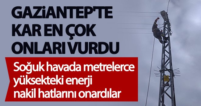Kar yükünü kaldıramayan ağaçlar elektrik kesintilerine yol açtı