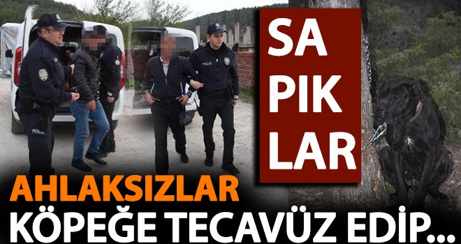 Köpeğe tecavüz eden iki kişi gözaltına alındı