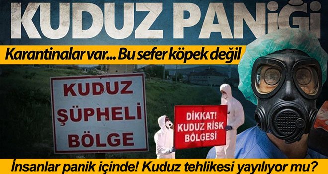 Kuduz paniği! İki mahalle karantina altına alındı