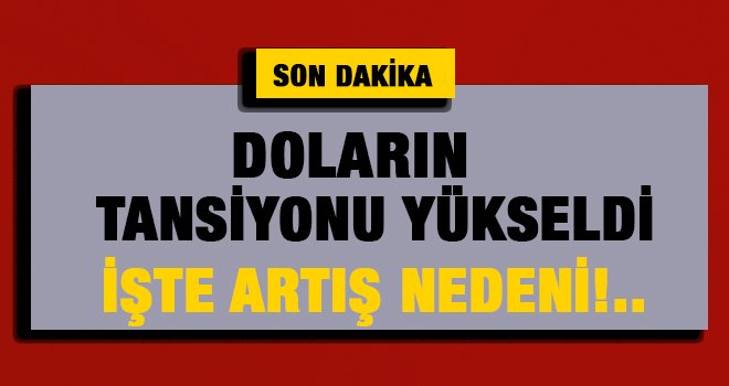 Dolar yeniden 3.80 liranın üzerinde