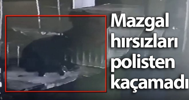 Mazgal hırsızları daha fazla kaçamadı...