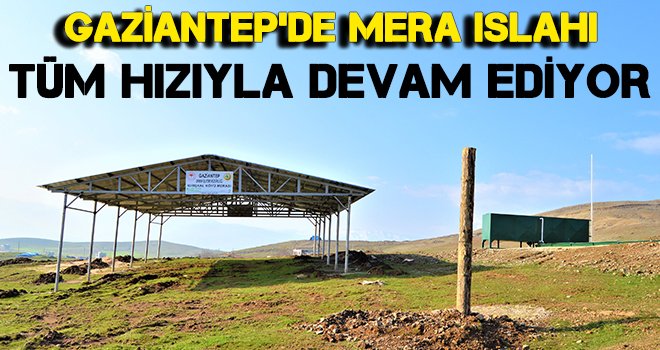 Mera ıslahı projeleri ile otlatma baskısı azaltılacak