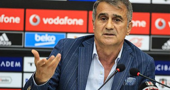 Milli Takım'ın yeni teknik direktörü Şenol Güneş!