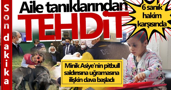 Minik Asiye’nin pitbull saldırısına uğramasına ilişkin dava başladı