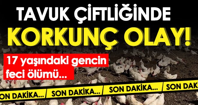 Tavuk çiftliğinde korkunç olay! Cansız bedeni bulundu...