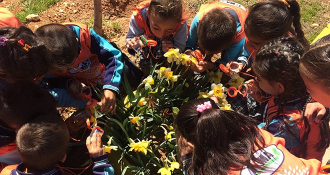 Orman dedektifleri Bayramlı İlkokulu'nda