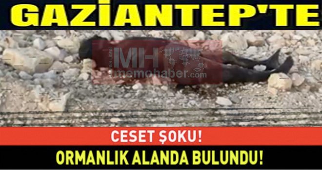 Ormanlık alanda sır ceset: Öldümü, yoksa öldürüldümü!