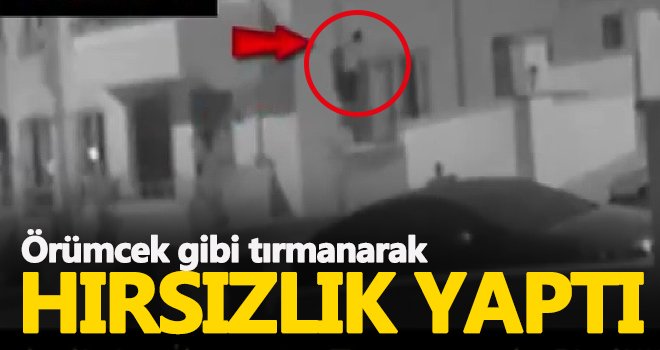 Örümcek gibi tırmanarak hırsızlık yaptı