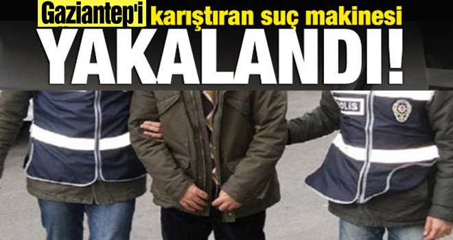 Pes dedirten olay: 53 dosyası ortaya çıktı