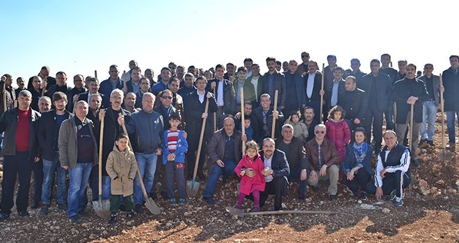 Şahinbey Milli Eğitim'den fidan dikme kampanyası