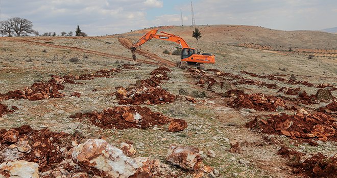Şehitkamil'de 'Bi Dünya Yeşil' ormanı kuruluyor