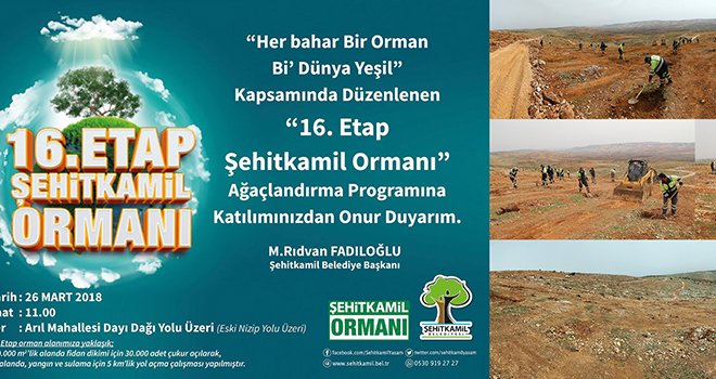 Şehitkamil'de 30 bin fidan daha dikilecek