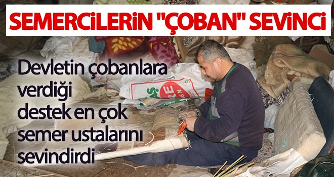 Semercilerin çoban sevinci