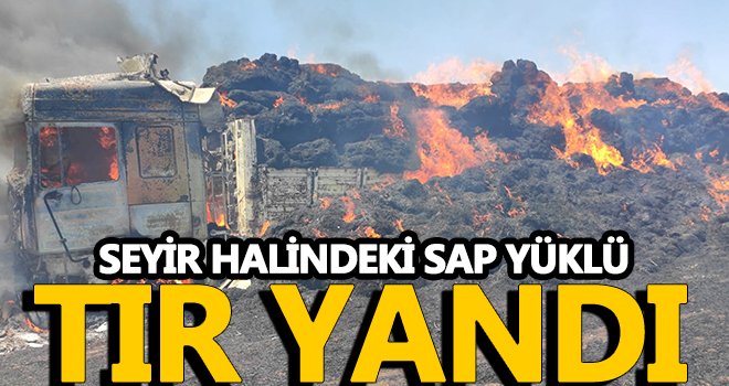 Seyir halindeki sap yüklü TIR alev alev yandı