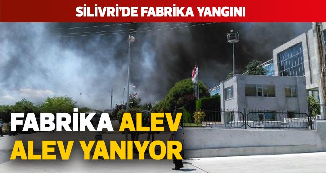 Silivri’de fabrika yangını
