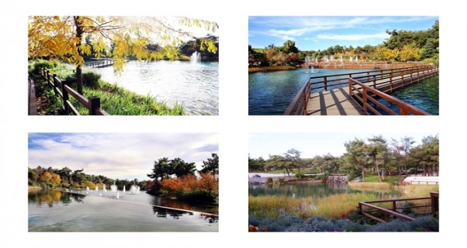 SİZCE BURASI DÜLÜKBABA OLABİLİR Mİ?