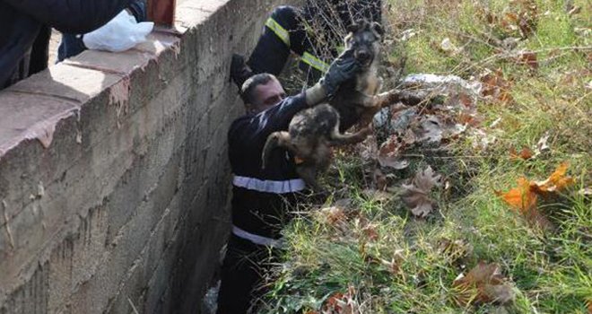 Su kanalına düşen köpeği itfaiye kurtardı