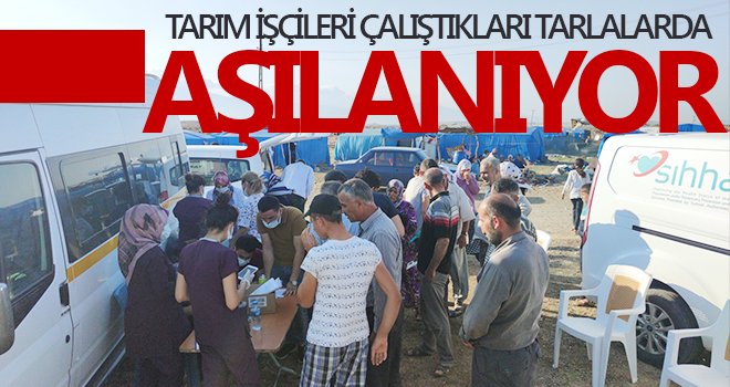 Tarım işçileri çalıştıkları tarlalarda aşılanıyor
