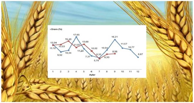 Tarım Ürünleri Eylül ayında yüzde 2.55 arttı