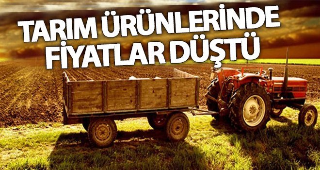 Tarım ürünlerinde fiyatlar bir önceki aya göre düştü
