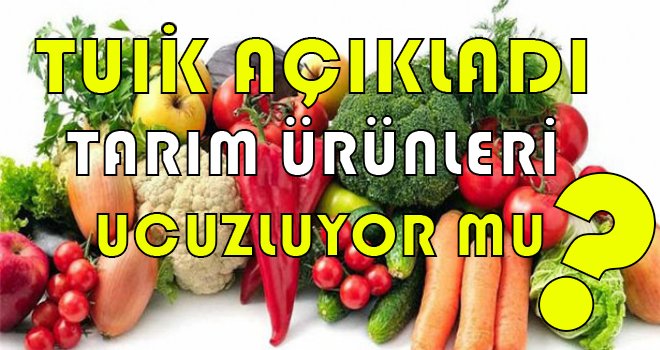 TUİK açıkladı! Tarım ürünleri ucuzluyor mu?