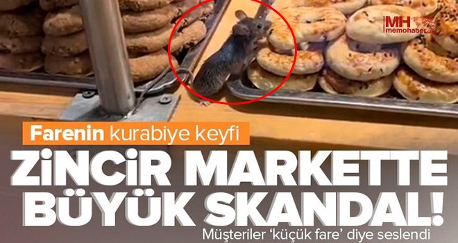 Ünlü zincir markette farenin kurabiye keyfi