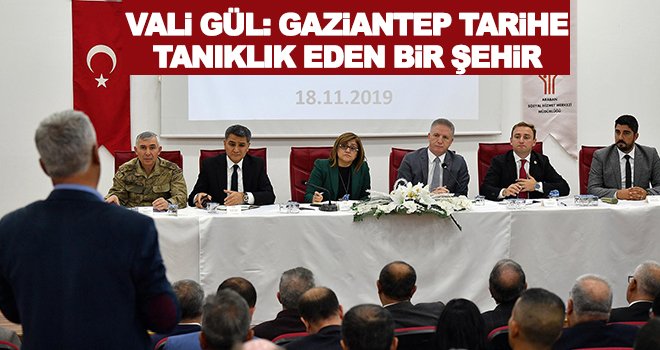 Vali Gül, Araban’da incelemelerde bulundu