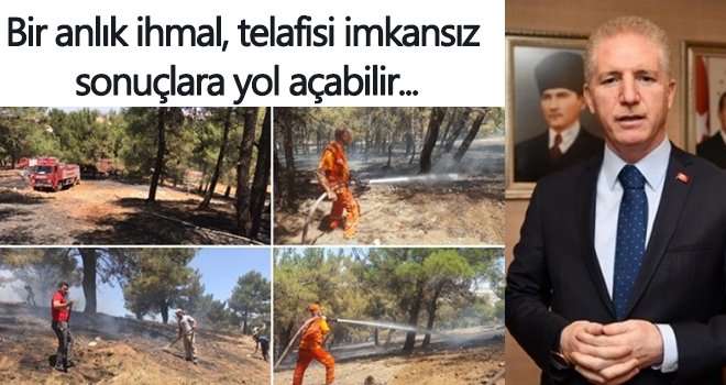 Vali Gül'den Dülük Orman Yangını açıklaması