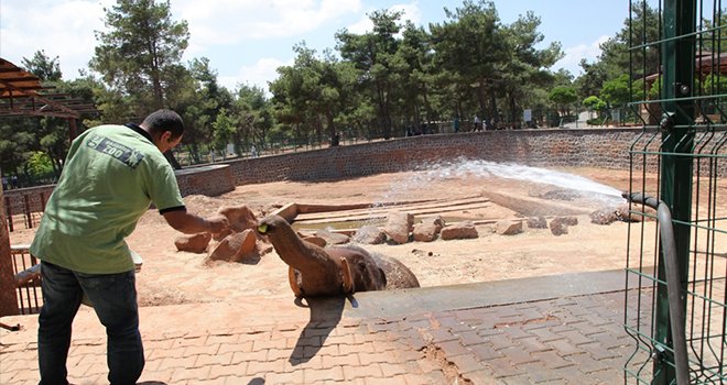 BUZLU MEYVE KOKTEYLİYLE SERİNLİYOR