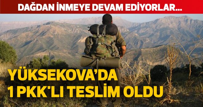 Yüksekova'da 1 PKK'lı teslim oldu