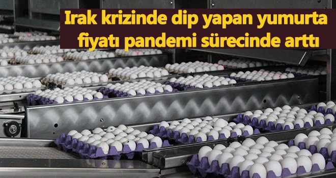 Yumurta fiyatı pandemi sürecinde arttı
