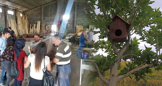 Yüksekokul öğrencileri kuşlar için yuva yaptı