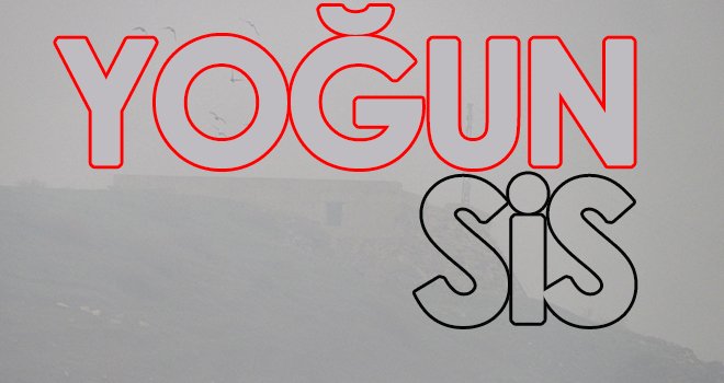  Araban’da yoğun sis