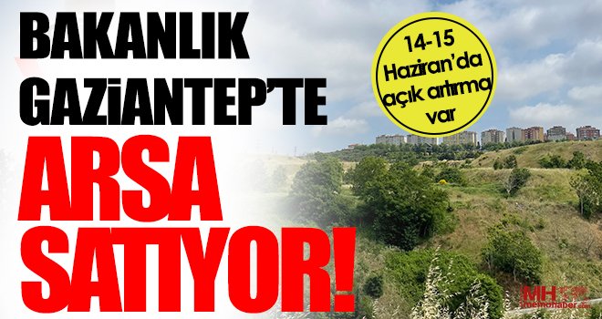  Arsalar açık artırma ile satışa sunuldu